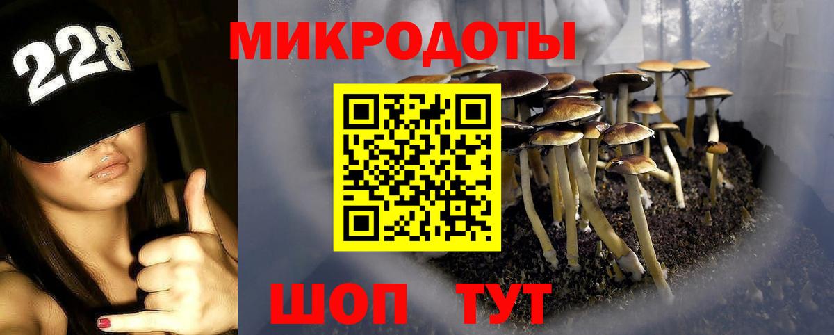 Псилоцибиновые грибы MAGIC MUSHROOMS  Галлюциногенные грибы GOLDEN TEACHER  Вход с VPN  Зима 