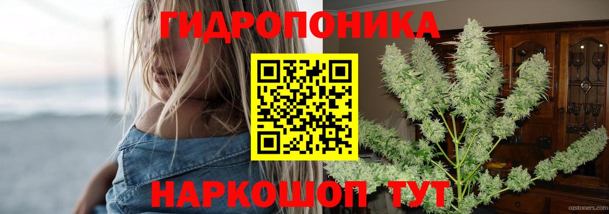 МАРИХУАНА индика  Конопля тримм  Вход с VPN  Зима 