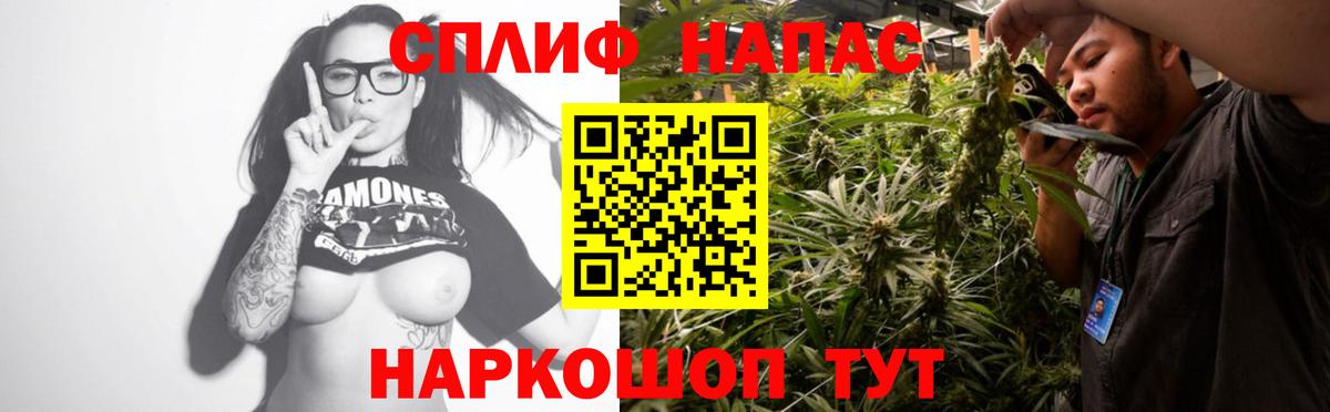 Канабис планчик Зима